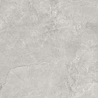 Керамогранит Pluto Silver светло-серый мат 59,5x59,5 9 мм арт. SG625820R