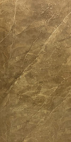 Керамогранит AMN 8463 T 55 DARK SAVA полир, 60x120