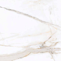 Керамогранит Regal Carara полир, 60x60 9 мм, арт. PR103