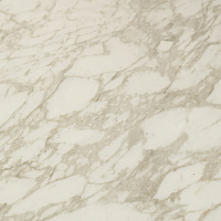 Керамогранит Marvel Royal Calacatta Lap лап, 60x60 9.0 мм, арт. AEN4