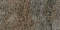 DL502900R Сильвер Рут серый обрезной. Универсальная плитка (60x119,5)