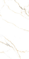 Керамогранит Bellevue Gold polished полир, 60x120 9 мм, арт. PR218
