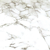 Керамогранит Calacata Silver мат, 59,6x59,6, арт. P1856802