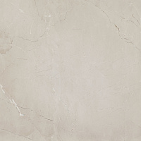 PASSION LUX 60 GREY. Универсальная плитка (60x60)