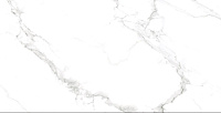 Керамогранит 120-240DBP8601CQ полир, 120x240 8,5 мм