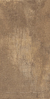 СAE24W13100C Urban Rustic W M Glossy. Настенная плитка (31x61)