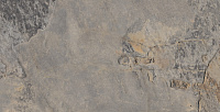 ARDESIA GRIS. Универсальная плитка (32x62,5)