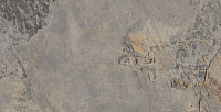 Керамогранит ARDESIA GRIS, 32x62,5