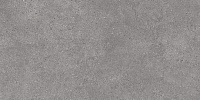 DL590100R Фондамента серый обрезной. Универсальная плитка (119,5x238,5)