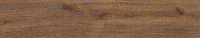CAH4ARTWMDAA Articwood Amber Rect. Универсальная плитка (22,7x119,5)
