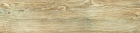 Керамогранит My Space Cognac Rett, 20x120