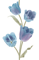 Tulips Frios (из 3-х плиток). Панно (50x75)