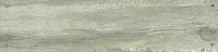 Montprivato Grey. Напольная плитка (15x60)