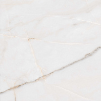 Керамогранит Essenza PW R мат, 80x80 11 мм