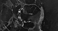 Керамогранит Dalim Black мат, 30x60 8 мм, арт. NR005