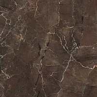 Керамогранит Jewels Emperador Selected полир, 60x60 10 мм