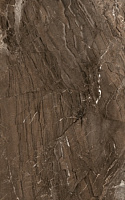 Сакура коричневый В61061. Настенная плитка (25x40)