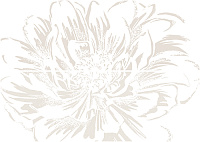 Панно STRATO ANEMONE CREMA, 50,2x70,9