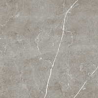 Керамогранит Scandy серый обрезной мат, 60x60 9 мм, арт. SG645220R