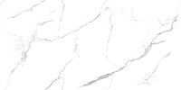 Керамогранит Statuario Wonderful белый полир 60x120 8,3 мм