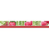 Бордюр Тюльпаны глянц 7x50 9 мм арт. 05-01-1-77-05-47-160-0