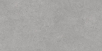 DL590000R Фондамента серый светлый обрезной. Универсальная плитка (119,5x238,5)