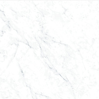 6000407 I Marmi Carrara. Универсальная плитка (60x60)