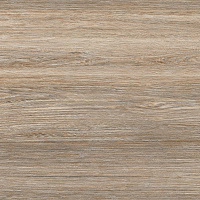 Керамогранит Forest мат, 60x60 9 мм, арт. GFU04FOR24R