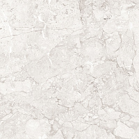 Emil White светло-серый полир. Универсальная плитка (60x60)