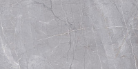 Керамогранит Риальто серый, 60x119,5 11 мм, арт. SG560700R