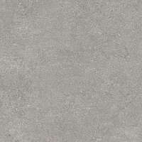 Newcon Серебристо-серый K945785R0001VTE0. Универсальная плитка (30x60)