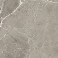Керамогранит PU.ELEGANT GREIGE LUX RT полир 120x120 9 мм арт. EX12