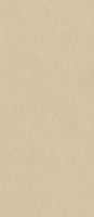 Керамогранит Boost Natural Pro Sand мат 120x278 6 мм арт. AQ9G