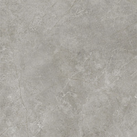Керамогранит Xlight Fiori Di Bosco Silk, 120x120 6 мм, арт. C221101761
