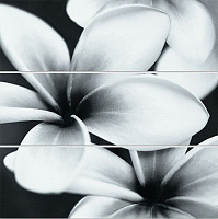 Спецэлемент стеклянный Universal Glass Flowers (UG2U093D). Панно (75x75)