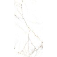 Керамогранит AUSTRAIN NATURAL GLOSSY глянц 60x120 9 мм арт. СК000042069