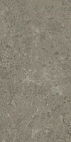 Керамогранит Marvel Meraviglia Grigio Elegante Lapp лап 60x120 9 мм арт. AJHW