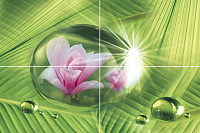 Pink drop P4D263 из 4-х плиток. Панно (40x60)