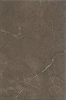 8316 Эль-Реаль коричневый. Настенная плитка (20x30)