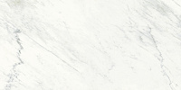 Керамогранит PREMIUM WHITE LUCIDATO полир, 150x300 6 мм, арт. SGF.MM.PW.LUC