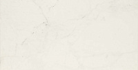 Керамогранит Allmarble Altissimo Lux глянц, 60x120 10,5 мм, арт. MMGR