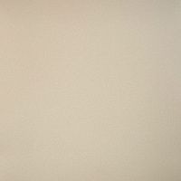 Керамогранит Профи бежевый матовый мат 60x60 10 мм арт. GT100M