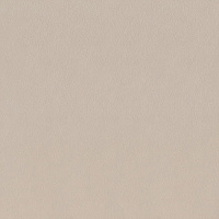 Керамогранит Сафьян беж, 40,2x40,2, арт. SG153000N