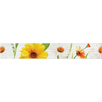 Бордюр FIORI Ромашки 267031, 6x40