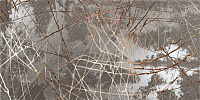 Декор Decor Bright Bronze мат, 60x120