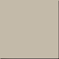 Керамогранит RW 031 мат, 60x60 10 мм