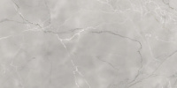 Керамогранит Armani Gris мат, 60x120 9,2 мм, арт. 1084M