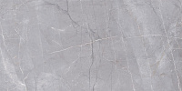 Керамогранит Риальто серый мат, 60x119,5 9 мм, арт. SG560720R