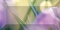 Бордюр Crocus глянц, 10x20, арт. br1020D286-1