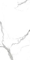 Керамогранит CALACATTA Grey мат 60x120 9,5 мм арт. CA016012N